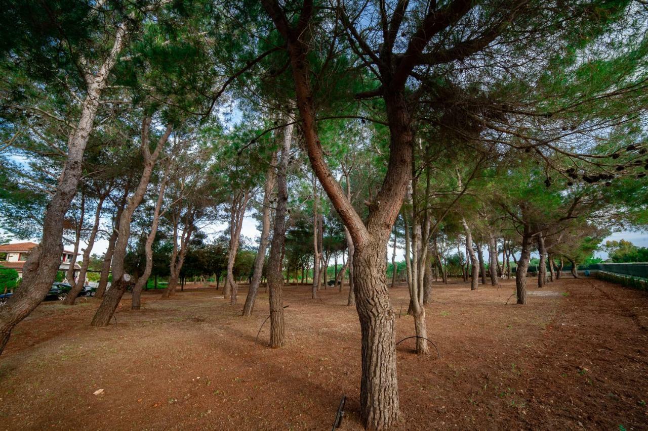 Bed and Breakfast Relais D 'Itria Grottaglie Exterior foto
