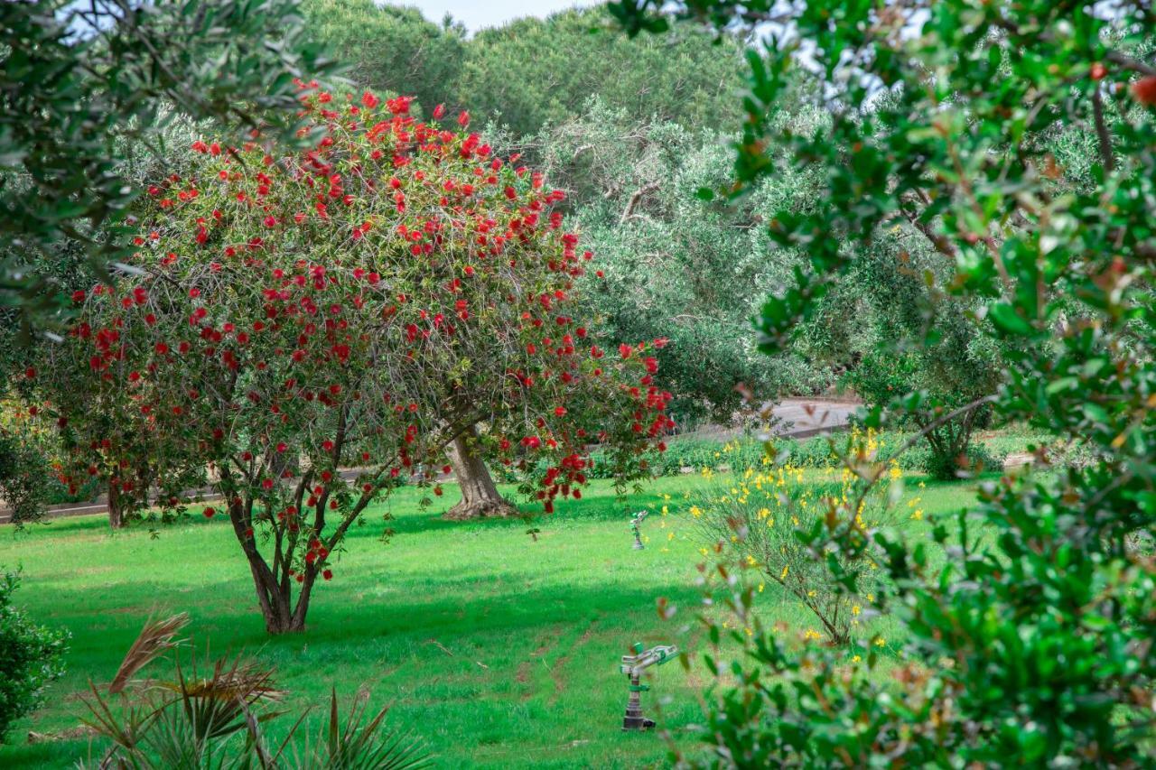 Bed and Breakfast Relais D 'Itria Grottaglie Exterior foto