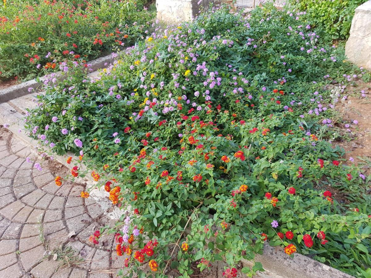 Bed and Breakfast Relais D 'Itria Grottaglie Exterior foto