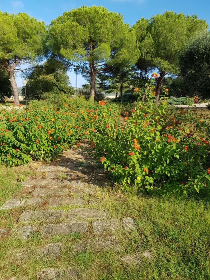 Bed and Breakfast Relais D 'Itria Grottaglie Exterior foto