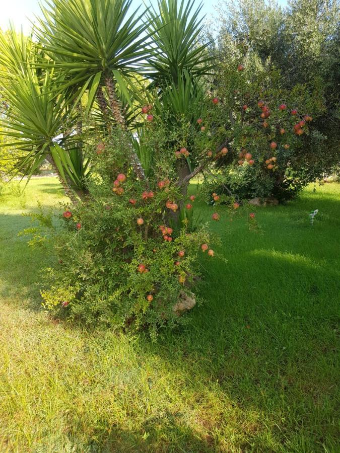 Bed and Breakfast Relais D 'Itria Grottaglie Exterior foto