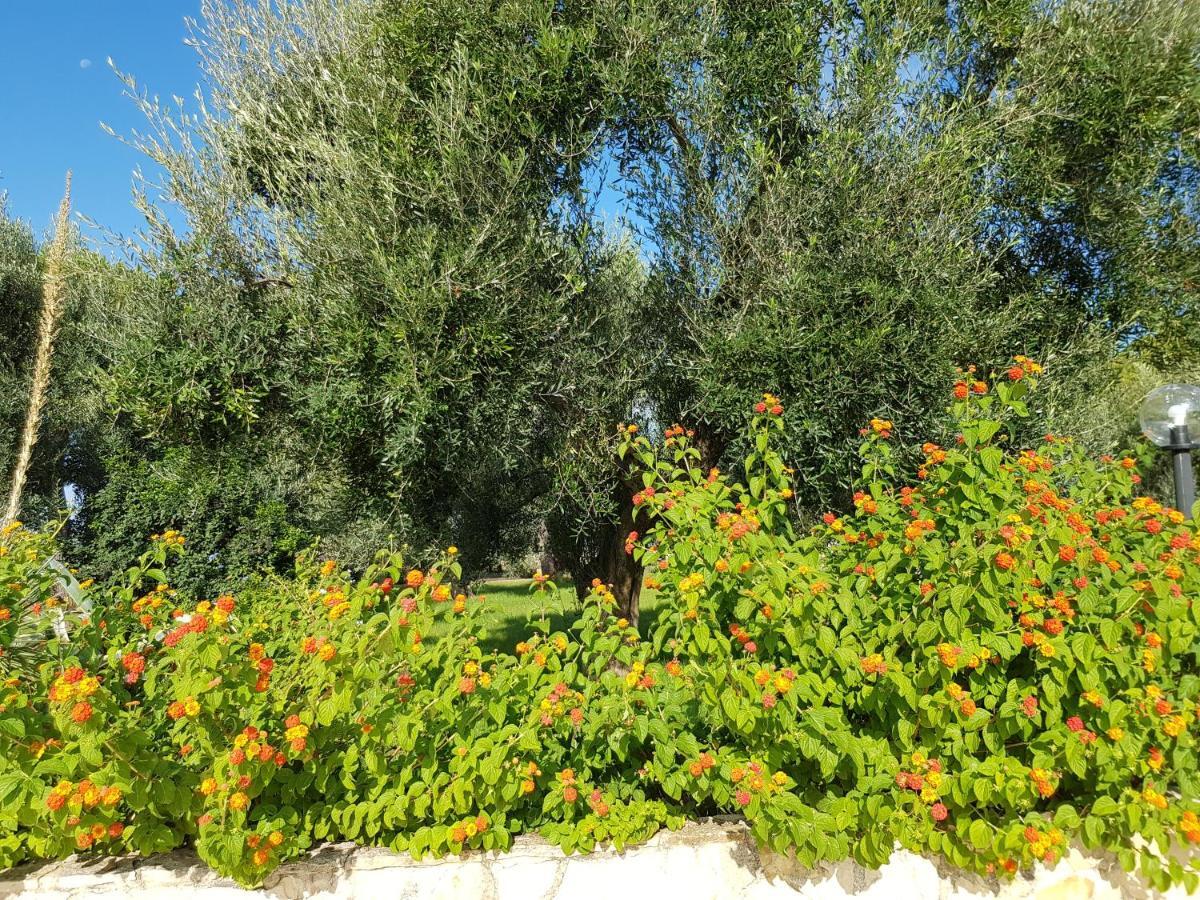 Bed and Breakfast Relais D 'Itria Grottaglie Exterior foto